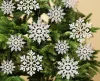 زخرفة عيد الميلاد البيضاء من المصنِّع details Picture